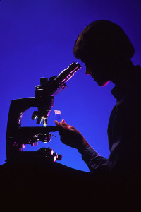 pathology salary,pathologist average salary,pathology doctor income